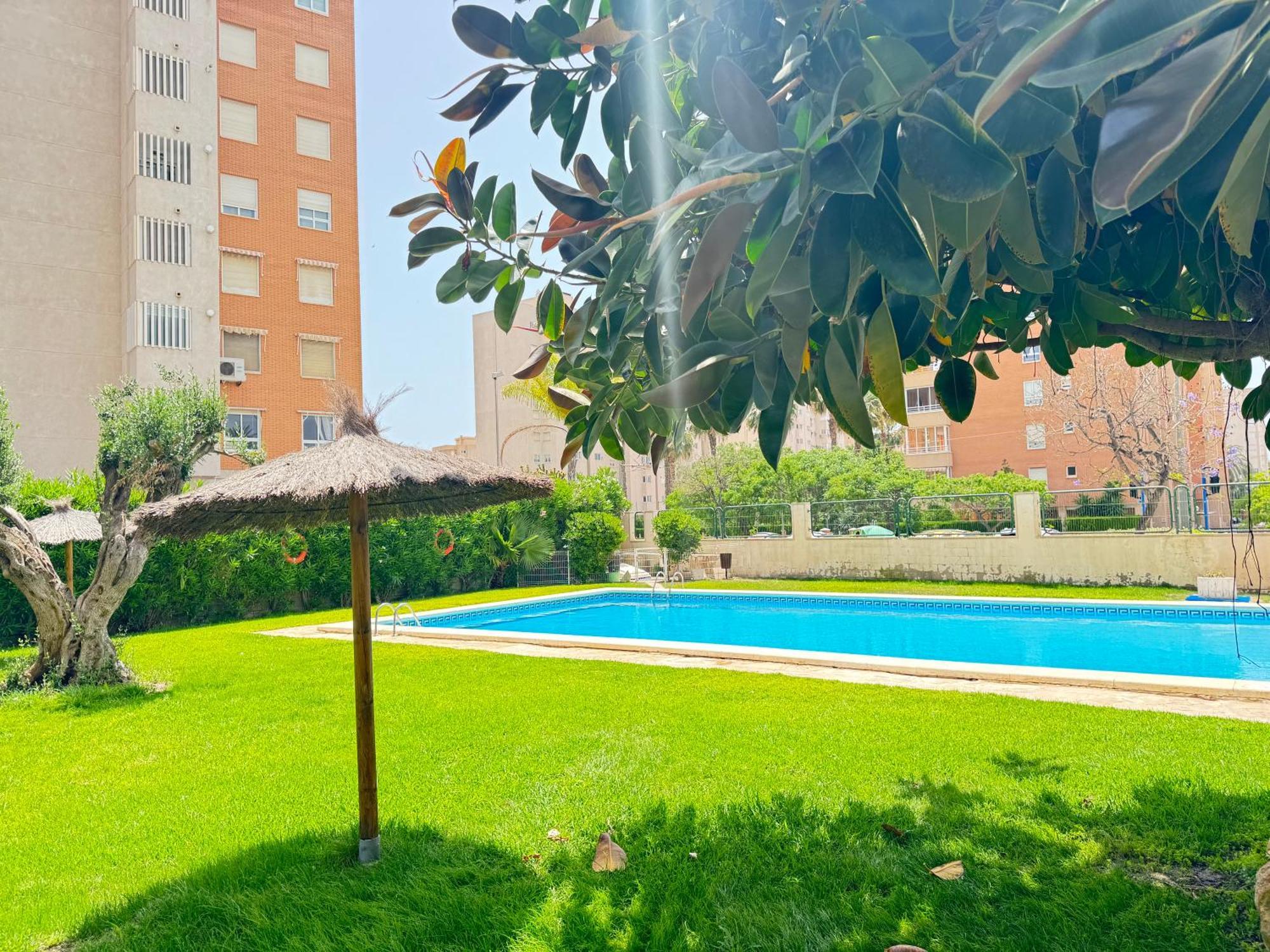 אליקאנטה Estudio Con Piscina מראה חיצוני תמונה