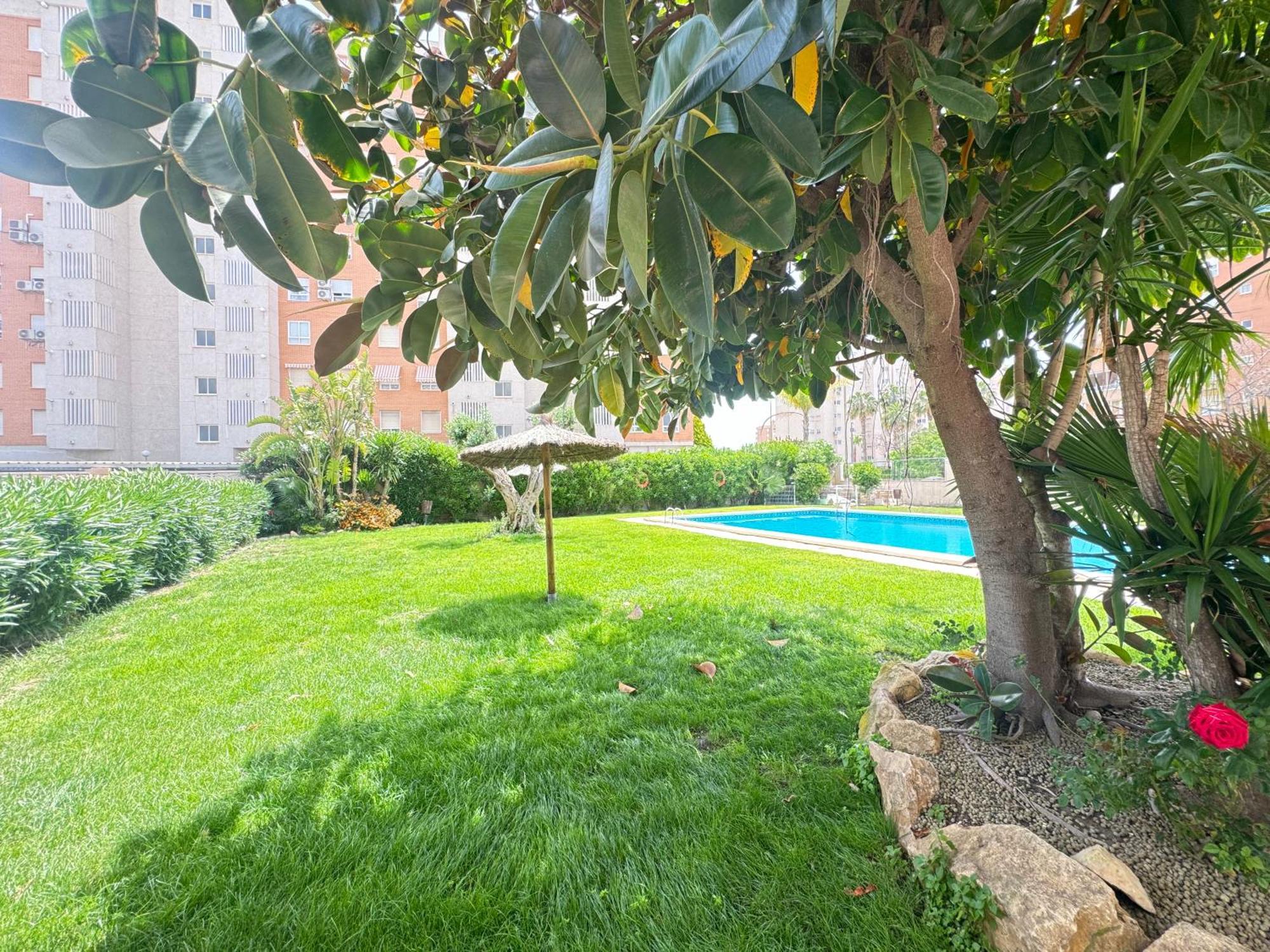 אליקאנטה Estudio Con Piscina מראה חיצוני תמונה